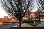 Duisburg