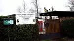 Grauestadtammeer