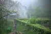Garten-im-nebel