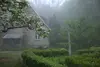 Garten-im-nebel