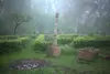 Garten-im-nebel