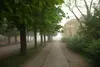 01 morgenspaziergang