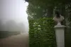 07 morgenspaziergang