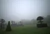 14 morgenspaziergang