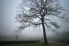22 morgenspaziergang