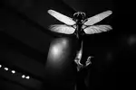 Naturkundemuseum Berlin 03