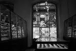 Naturkundemuseum Berlin 12