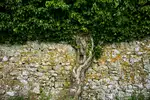 Wales- Coastal Path 03
