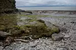 Wales- Coastal Path 08