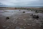 Wales- Coastal Path 09