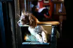 Pub In Wales 05