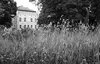 02 2025 05 15 Nennhausen 02