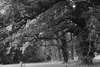 03 2025 05 15 Nennhausen Schlosspark 01