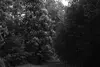 03 2025 05 15 Nennhausen Schlosspark 02