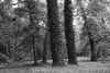 03 2025 05 15 Nennhausen Schlosspark 03