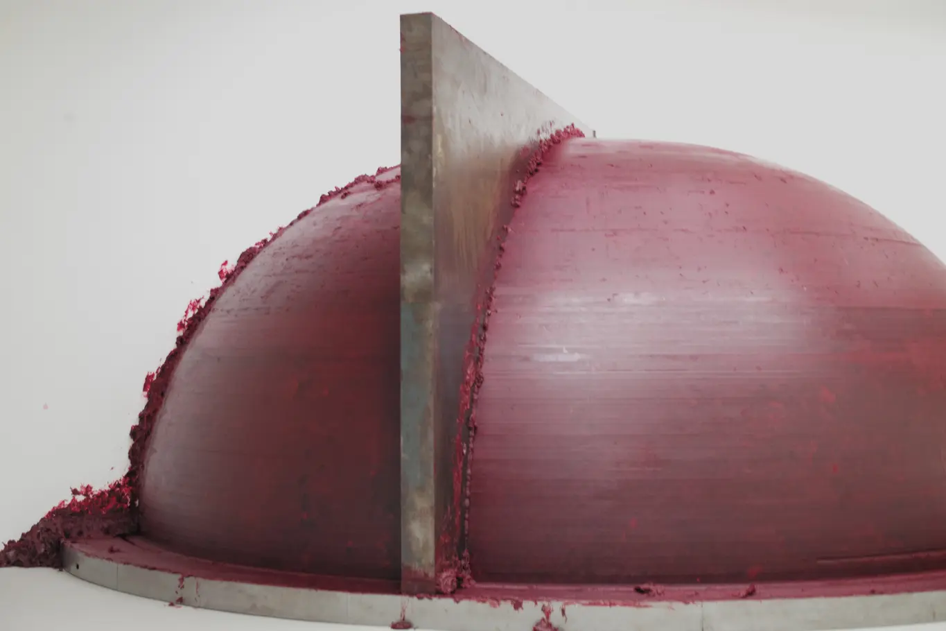 Anish Kapoor