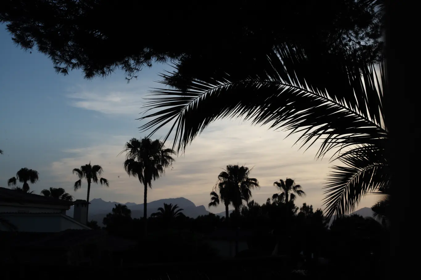 Beverly Hills