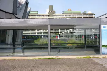 Big