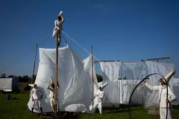 Baumblütenfest