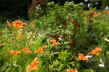 Sommergarten