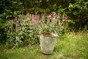 Sommergarten