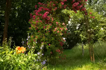 Sommergarten