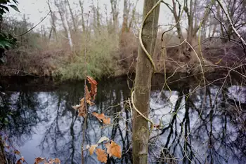 Ende