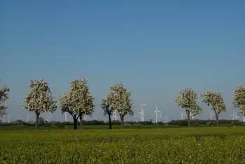 Eindrücke