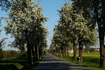 Eindrücke